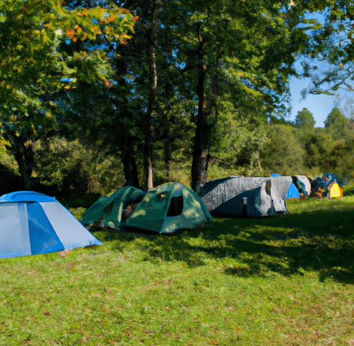 Czy Pole Namiotowe Pustkowo to najlepsze miejsce na wakacje w Polsce? Przegląd usług i atrakcji Pole Namiotowe Pustkowo